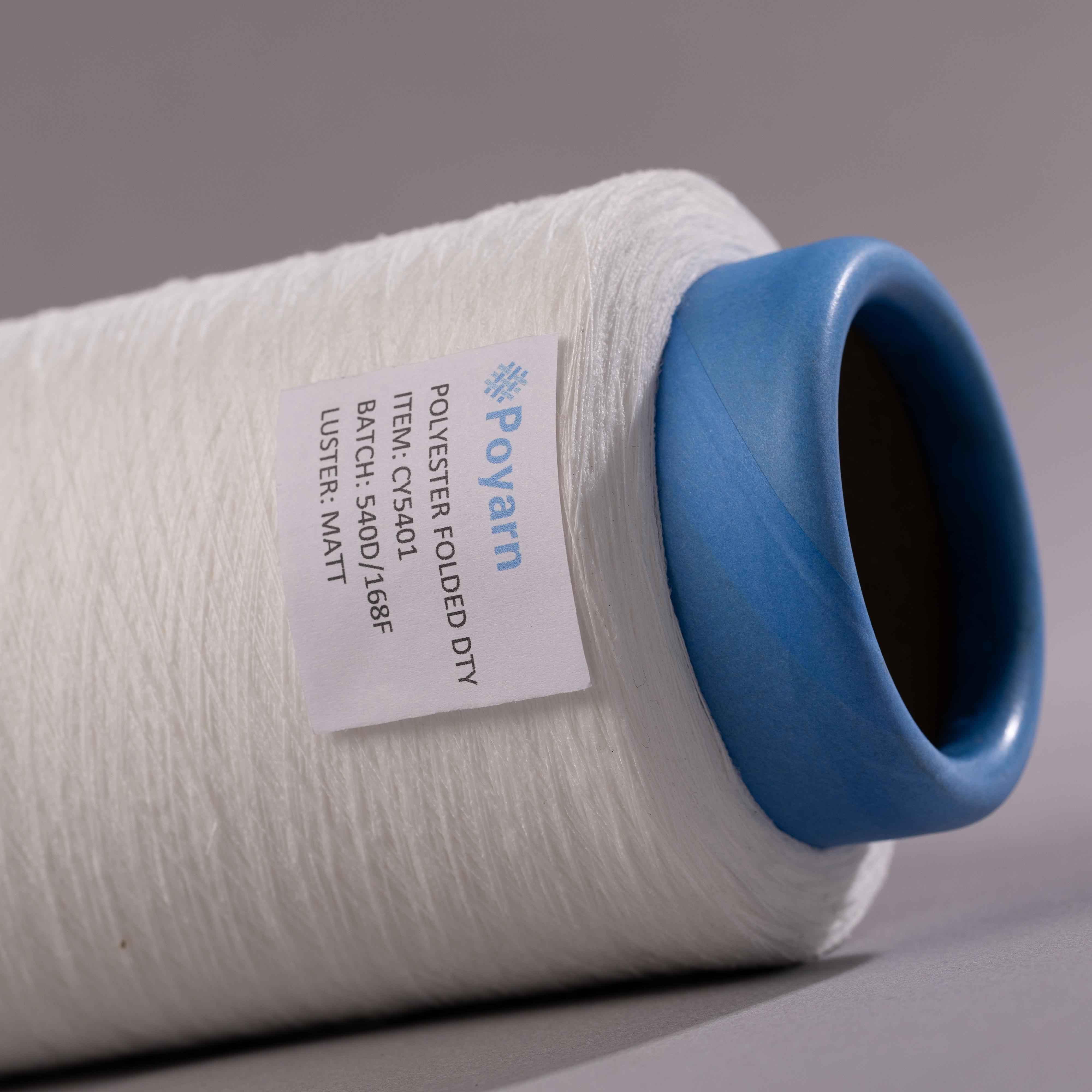 CY5401 polyester folded yarn 