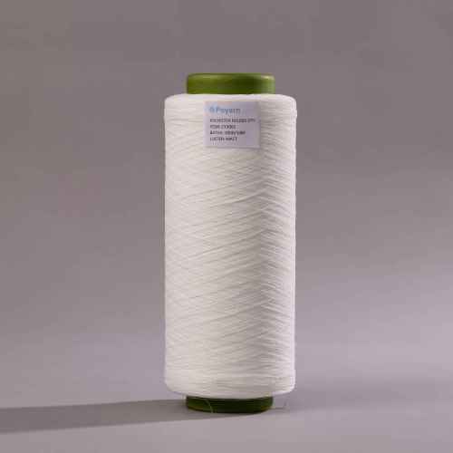 Wholesale Polyester Folded Yarn 300D DTY CY3002 | Wear-Resistant, Anti-Wrinkle | Perfect for Weaving