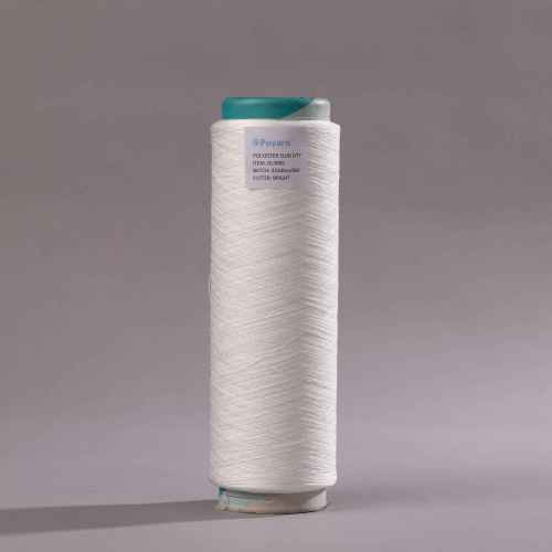 Premium DL3005 Polyester Slub Yarn DTY in Bulk | Wear-Resistant, Breathable | Ideal for Home Textile