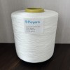 Premium Wholesale Bright Polyester Twisted FDY 300D Yarn for Superior Fabrics | Anti-Pilling & High Strength