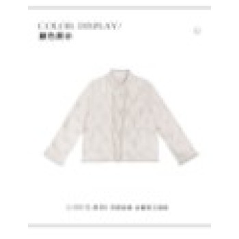 New Chinese-style embroidered lace 90 GB duck down patchwork mink strip short white light down jacket