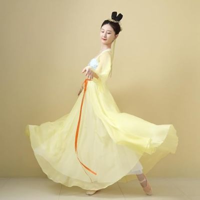 Monkey Clothing Chinese Hanfu Costume Tang Dynasty for Women Classical Dance Costume Dance Skirts Embroidery Top Chinese Style Clothes