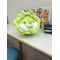 Vegetable Elf Series Cabbage Dog Doll Plush Doll&Throw Pillow