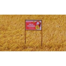 Wuchang Rice Harvest! RT-Mart grabs 