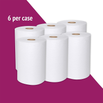 High Capacity 10 Inch 1 Ply 28GSM Paper Towel Manufacturer Virgin Wood TAD Paper Roll Towels Roll