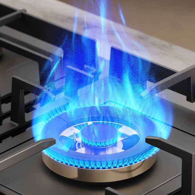 Pure Blue Flame of Bousit Custom Gas Stove Model B905
