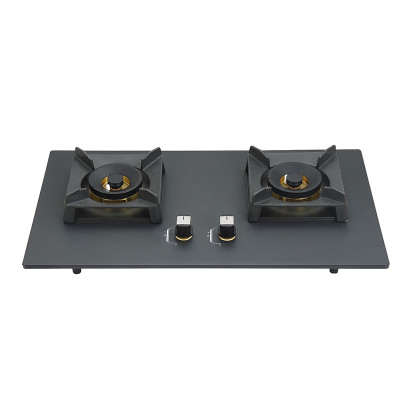 OEM & ODM Factory | Double Burner Gas Cooker | Staineless Steel Panel 2 burner Gas Cook Top | G116