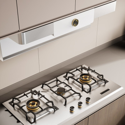 Smart Feature Gas Stoves: the Future Trends
