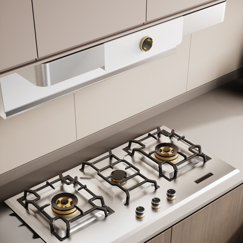 The Future of Home Gas Stove: Enhancing User Experience with Smart Features