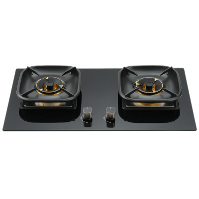 Custom 2 Burner Built-in Gas Hob for OEM Brands and Distributors | B360