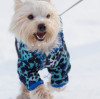 Understanding the Wholesale Dog Pajama Market: A Comprehensive Guide by Jojocici Dog Clothing Manufacturer