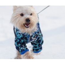 Understanding the Wholesale Dog Pajama Market: A Comprehensive Guide by Jojocici Dog Clothing Manufacturer