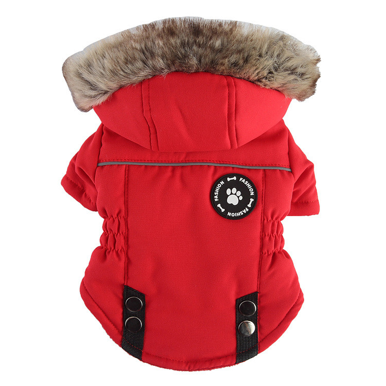 Down jacket for dogs