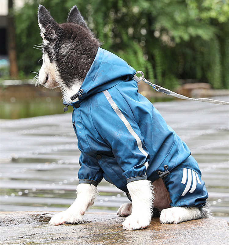 Dog Trench Coats
