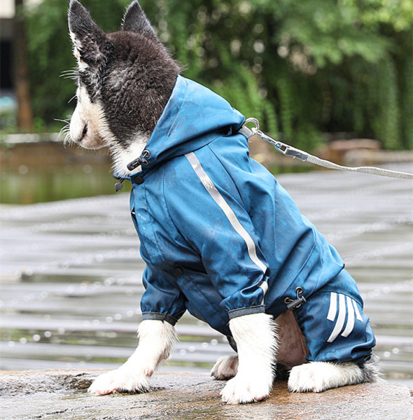 Embracing Sustainability in Dog Clothing with Jojocici