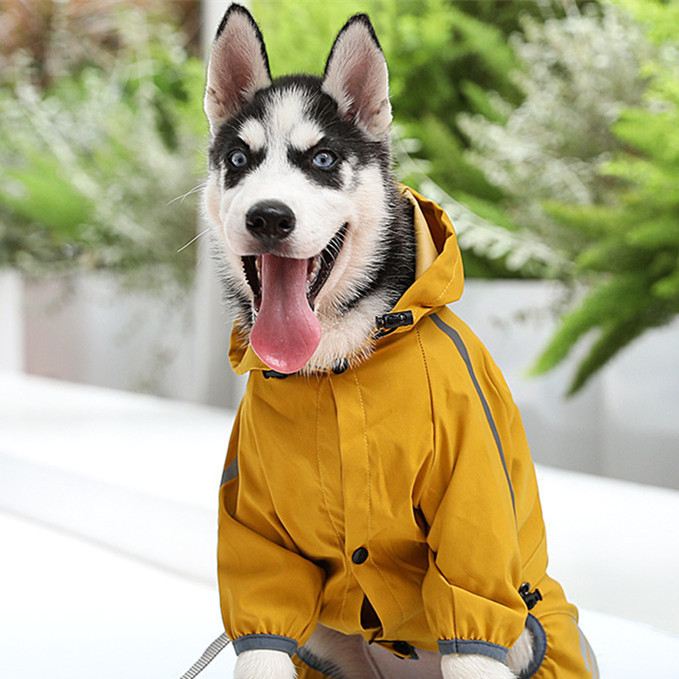 Dog Trench Coats