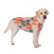 Spring and summer mesh medium and large dog Labrador, dog tank tops pet dog clothing wholesale