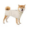 Outdoor waterproof pet dog raincoats poncho Labrador golden retriever medium and large dog clothing