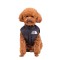 Dog clothing Autumn Winter pet dog small dog Teddy thicker than bear warm down clothing dog vests