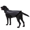 Outdoor waterproof pet dog raincoat Dog Trench Coats Golden retriever medium and large dog clothing