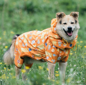 Hooded Dog Raincoat Outdoor waterproof dog clothing for small to medium to large dogs and puppies