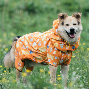 Hooded Dog Raincoat Outdoor waterproof dog clothing for small to medium to large dogs and puppies