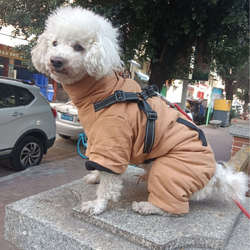 Four-legged cotton-padded dog clothes Autumn and winter reflective puppy clothes thickened dog chest back clothes one pet