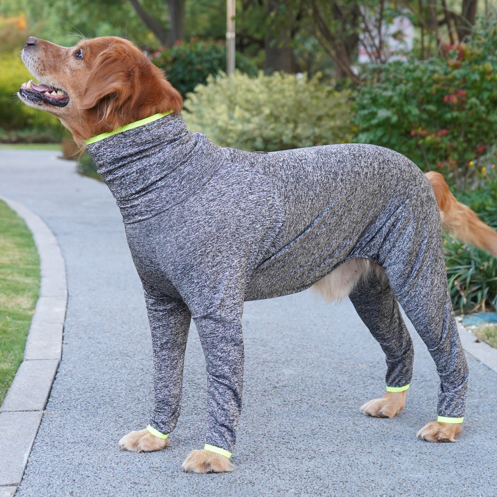 Dog striped hoodies
