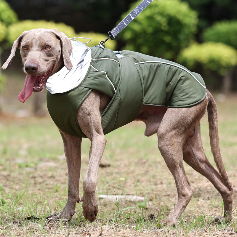 Dog Vests