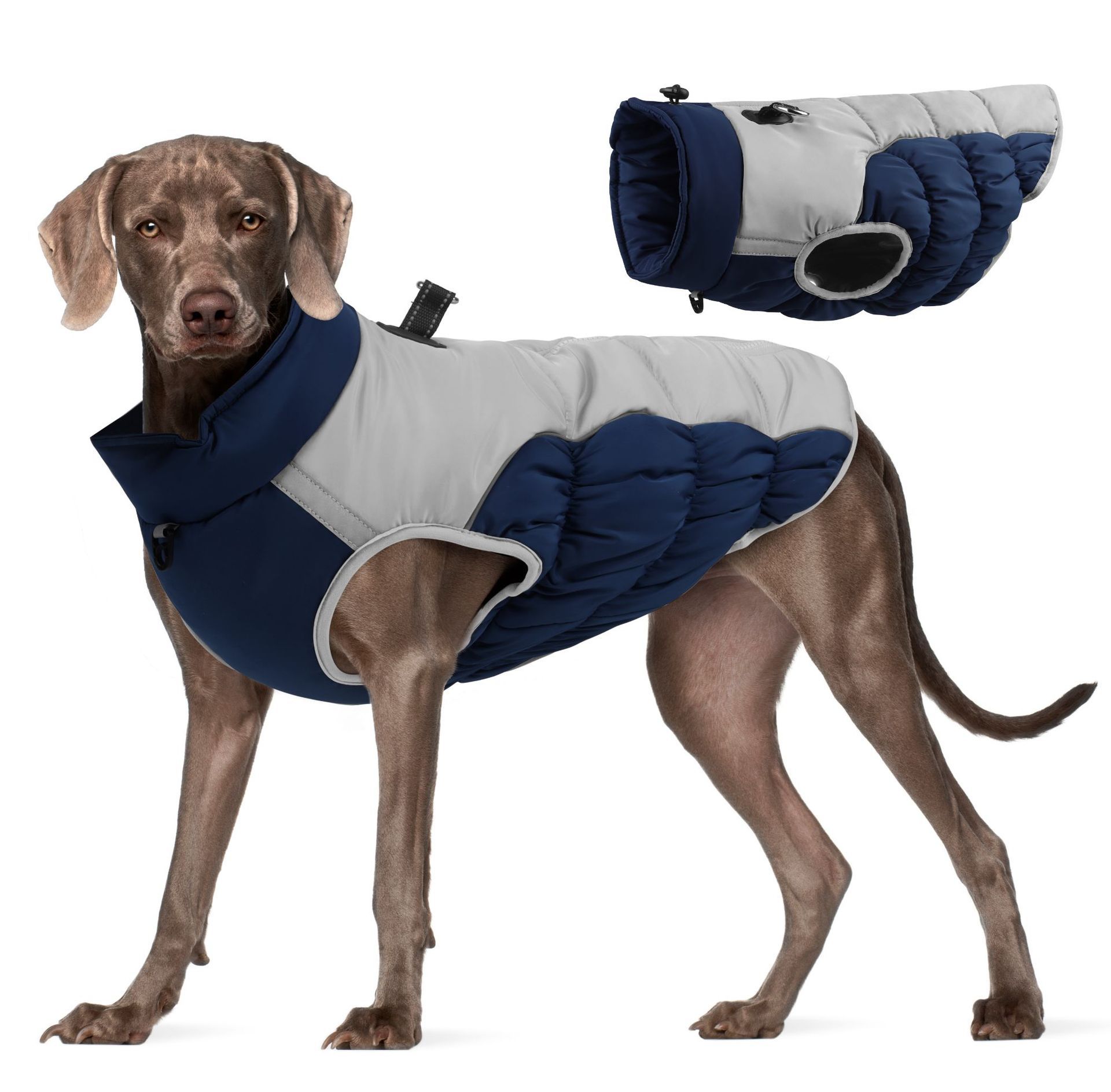 Dog Vests