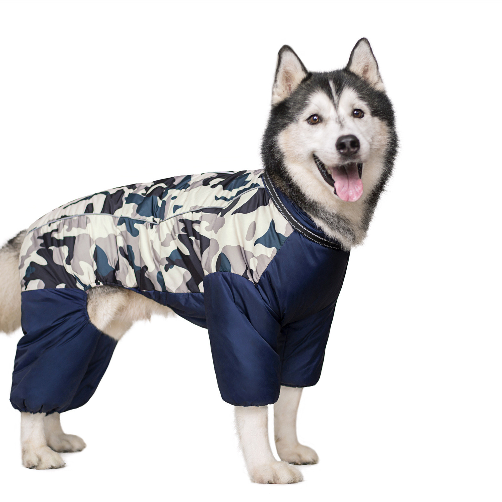 Down jacket for dogs