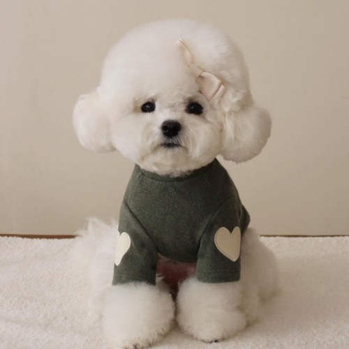 Autumn and winter Bichon Bear Teddy York summer Pomerte cashmere hoodie dog pet love embroidered warm clothes