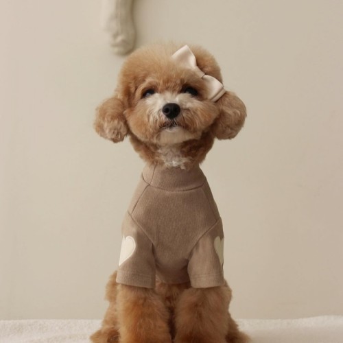 Autumn and winter Bichon Bear Teddy York summer Pomerte cashmere hoodie dog pet love embroidered warm clothes