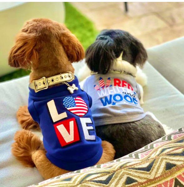 The Best Dog Winter Clothing to Keep Your Dog Warm and Stylish