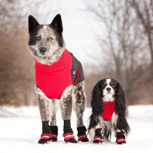 A Wholesale Guide to Pet Apparel: Sourcing High-Quality Suppliers