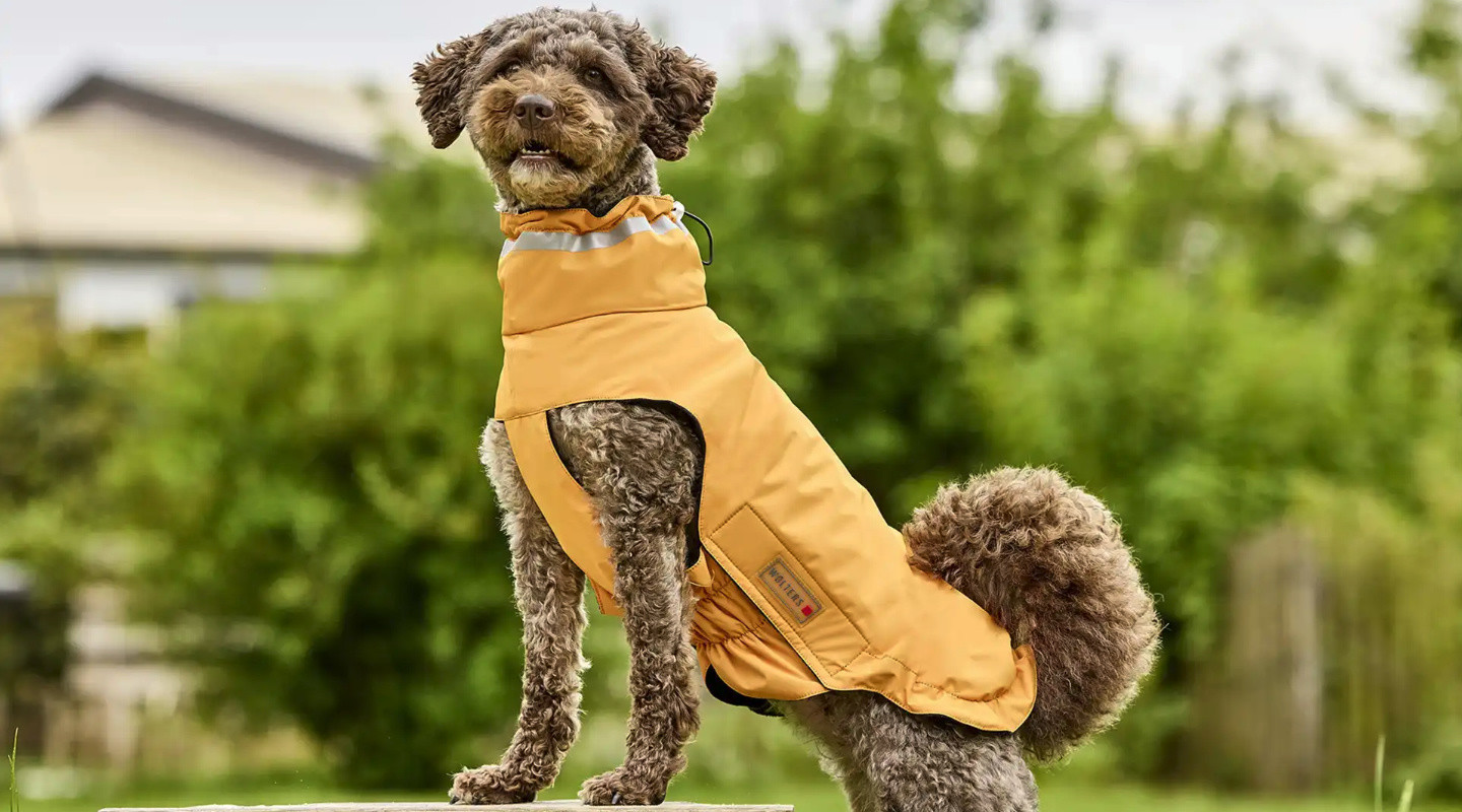 Dog Clothing Manufacturer