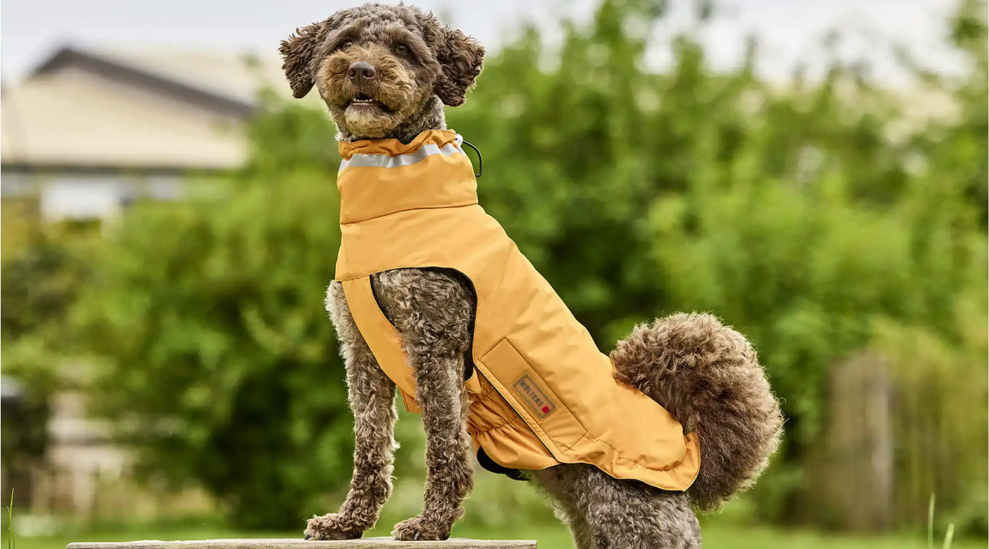 Dog Apparel Manufacturer