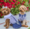 How to Start Your Own Small Pet Clothing Brand with Wholesale Dog Apparel