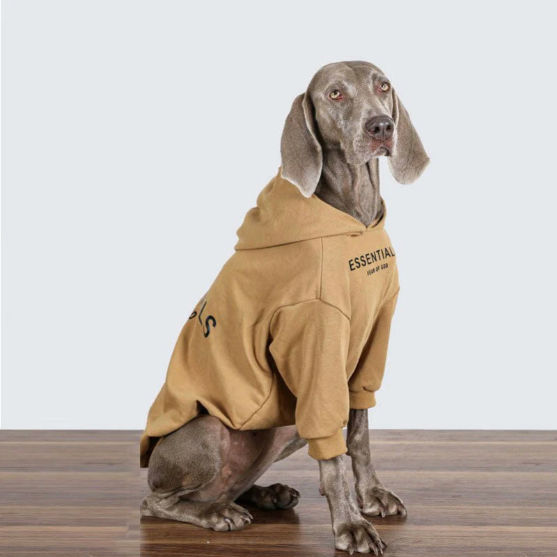 5 Tips to Ensure Your Dog's Comfort in Clothing