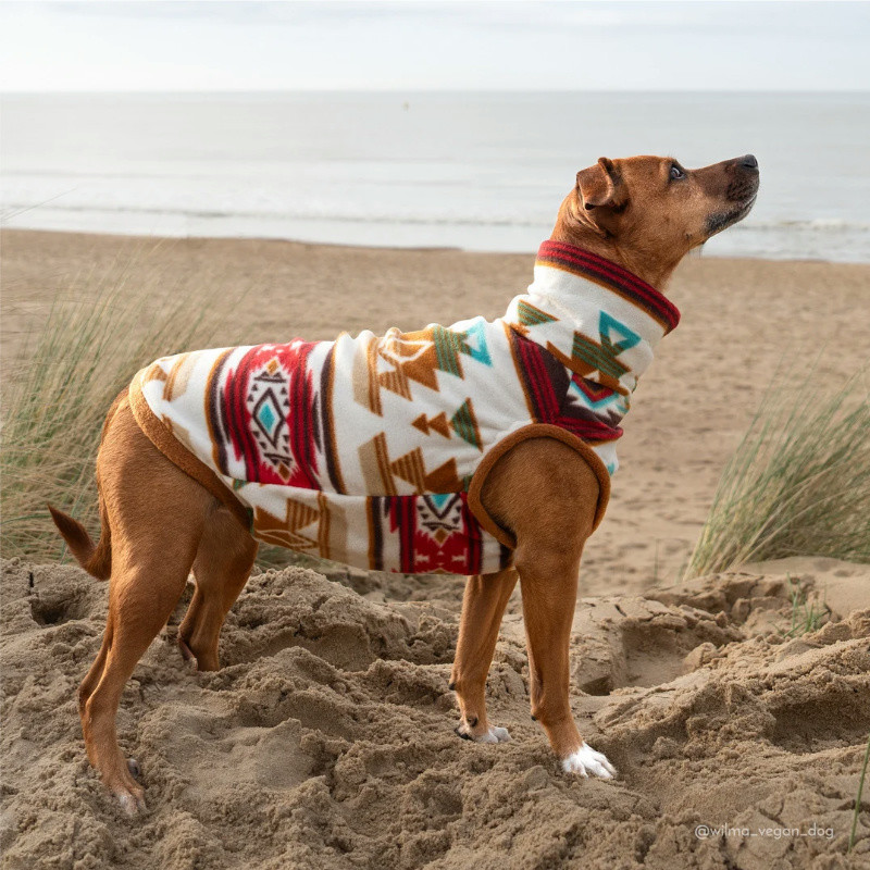 2025 Dog Fashion Trends: Stay Ahead with Stylish Pooch Apparel