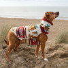 2025 Dog Fashion Trends: Stay Ahead with Stylish Pooch Apparel