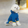 2025 Dog Outdoor Sports Trends: 5 Must-Have Essentials