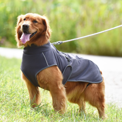 Lightweight breathable pet Tank Tops | a stylish summer must-have Dog Tank Tops Pet comforter. Mood vest