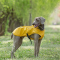 Hooded dog raincoats cape outdoor waterproof, suitable for small to medium to large dogs and puppies