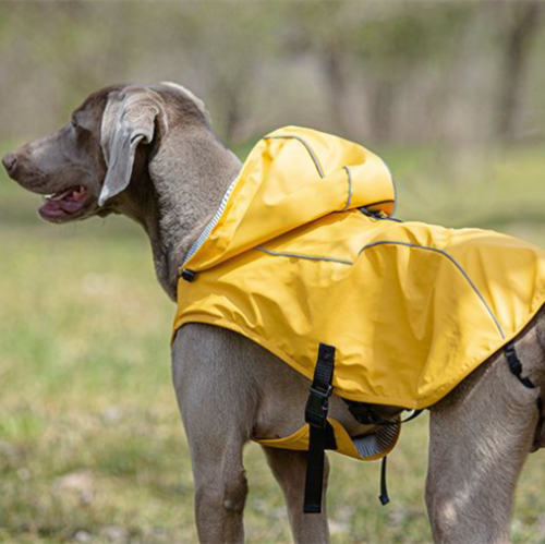 Hooded dog raincoats cape outdoor waterproof, suitable for small to medium to large dogs and puppies