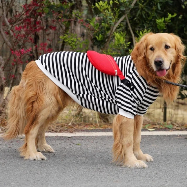 Summer Dog Clothing: Keep Your Pet Cool and Stylish