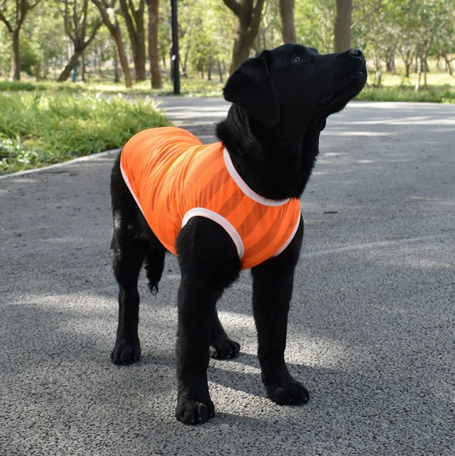 Dog Tank Tops