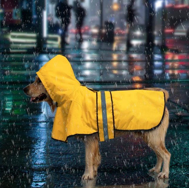 Dog Raincoat