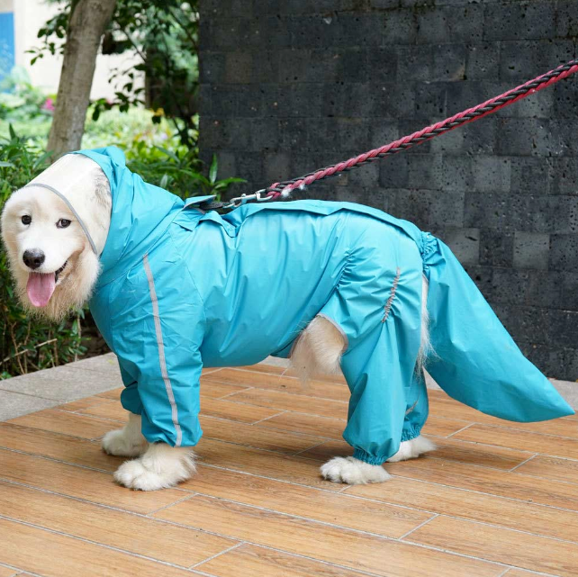 Dog Raincoat