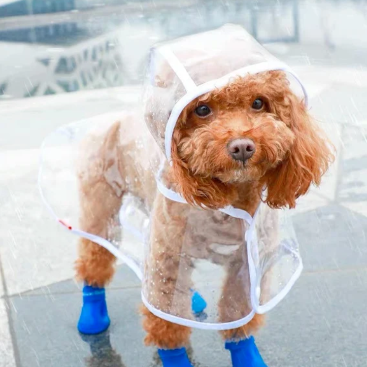 Best Dog Raincoats for Various Breeds: Find the Perfect Fit